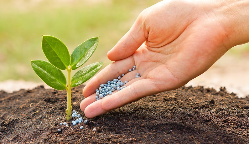 Fertilización y abonado