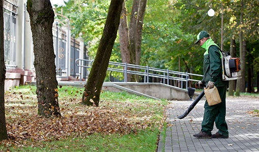 Servicios de jardinería