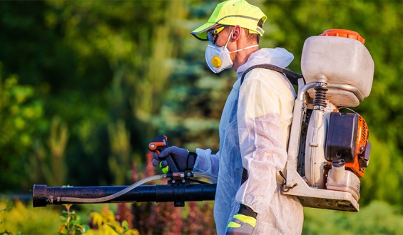 Sanidad vegetal. Tratamientos y fumigaciones