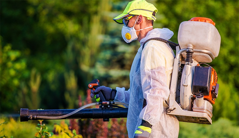 Sanidad vegetal. Tratamientos y fumigaciones